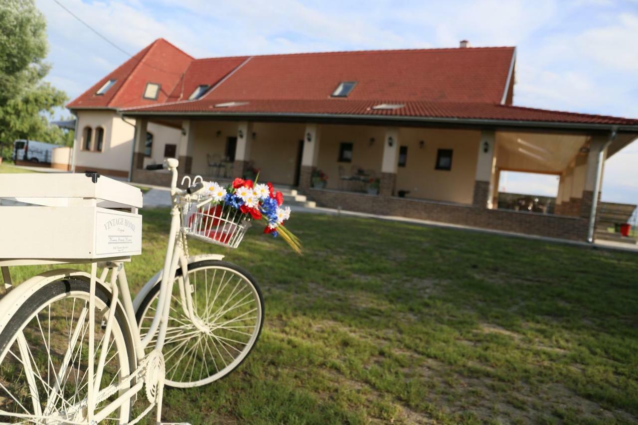 Tiszavilag Pihenohaz Hotel Tiszakécske Exterior foto